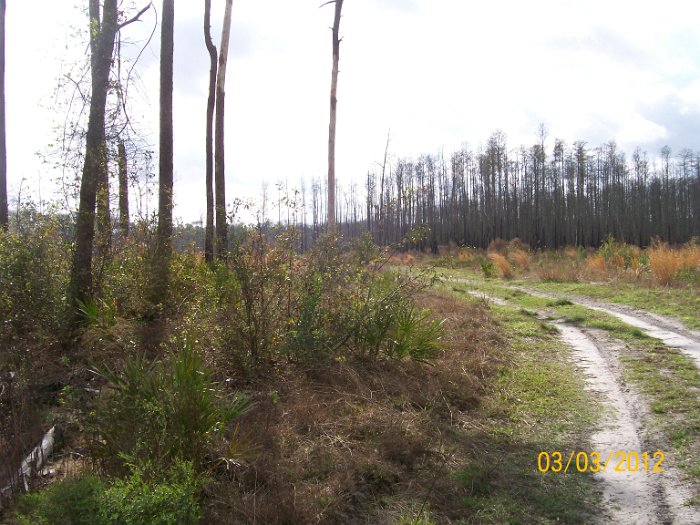 2012-Mar-03HGR4X4Richloam 045